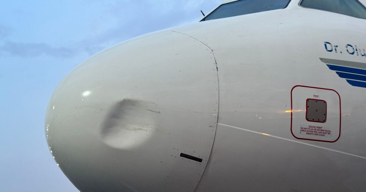 Again, United Nigeria Airlines suffers bird strike