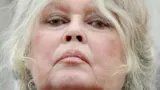 Bernard d'Ormale expulsé de La Madrague ? Après les accusations, la Fondation Brigitte Bardot hausse le ton
